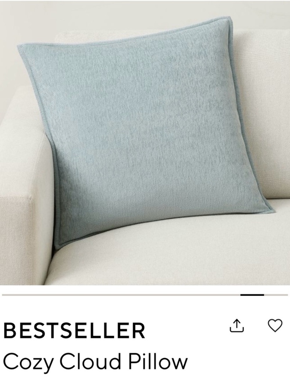 Pottery Barn Accent Pillow 20”